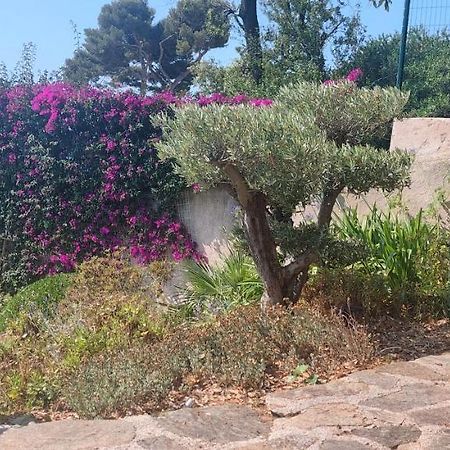 Villa Du Bau Rouge Carqueiranne Kültér fotó