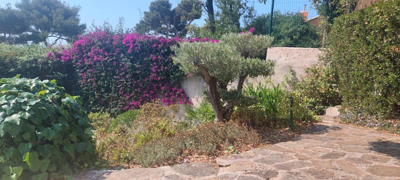 Villa Du Bau Rouge Carqueiranne Kültér fotó