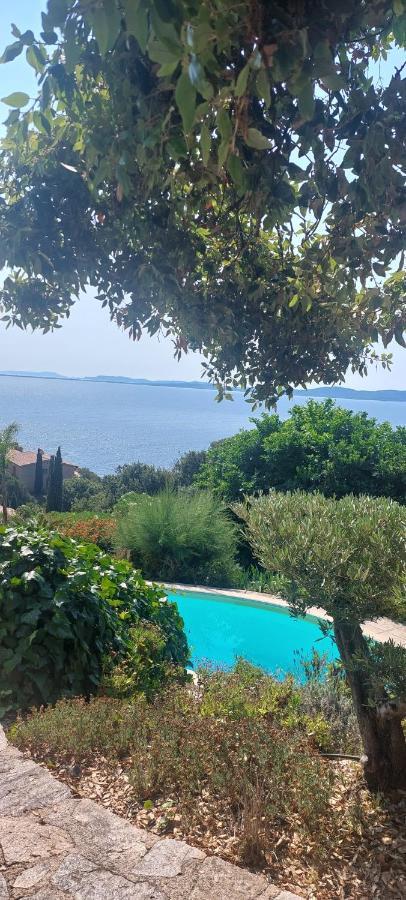 Villa Du Bau Rouge Carqueiranne Kültér fotó