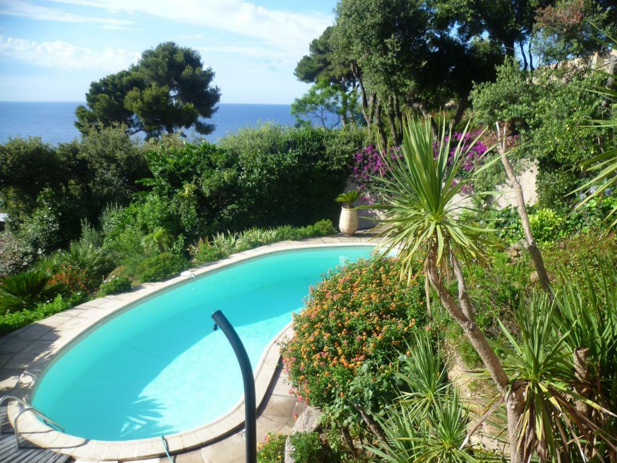 Villa Du Bau Rouge Carqueiranne Kültér fotó