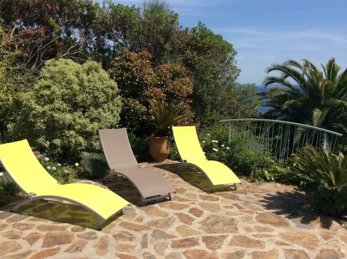 Villa Du Bau Rouge Carqueiranne Kültér fotó